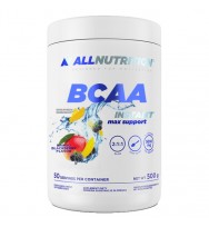 BCAA Instant Max Support 500 g ALLNutrition